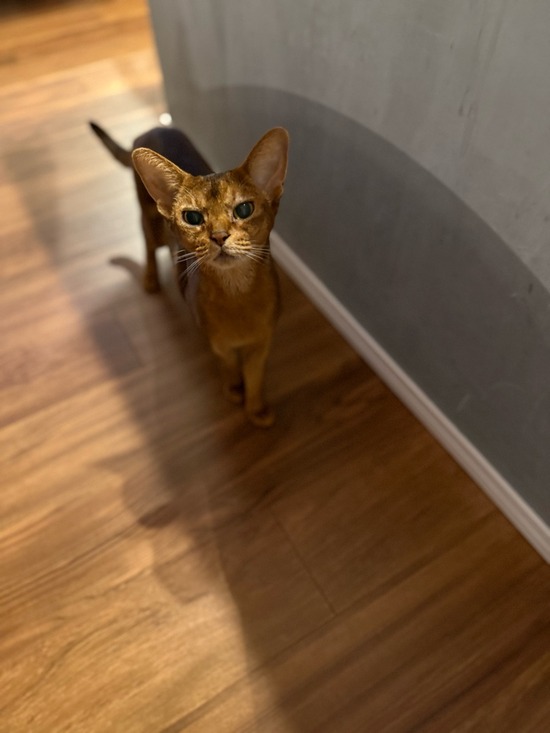 FullSizeRender