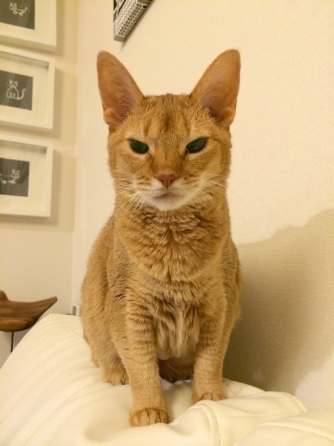 {3B4BA7C9-1B88-4BCC-9C03-91BEEA143D65:01}