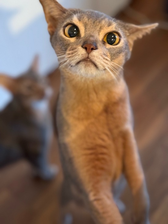 FullSizeRender