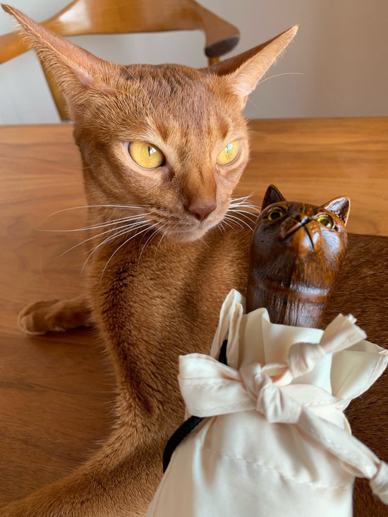 IMG_0600