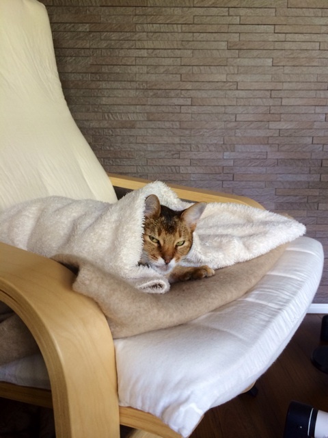 {6EC8FB21-5D19-404D-812E-8DD9E821A87B:01}