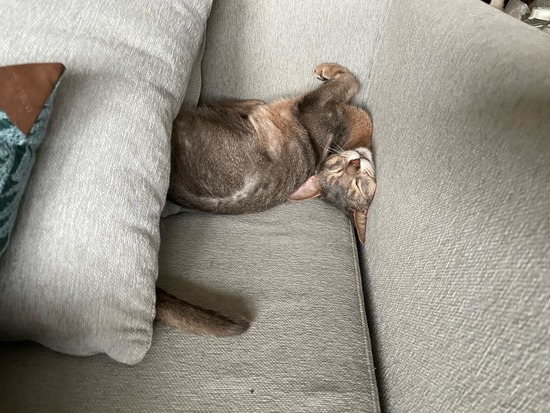 F811E20C-736B-4E1D-A266-5F4D79E4FA1B