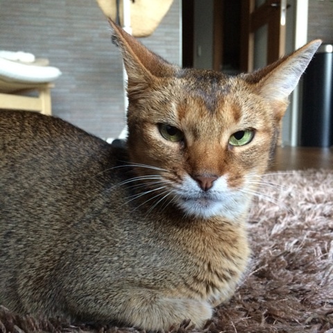 {4F4FA62D-126B-4506-87B8-5A7B75D5F4B5:01}