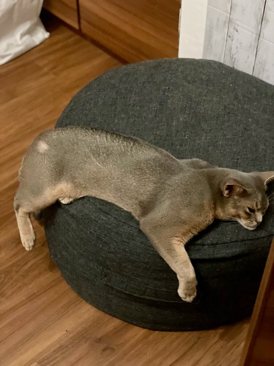 FullSizeRender