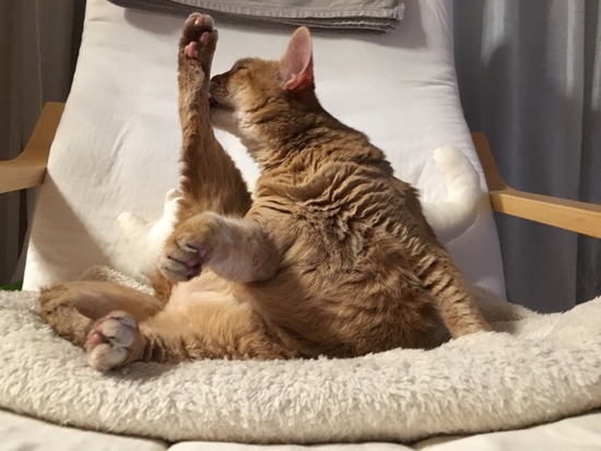 19DBB5FA-F922-4550-9ECF-7BACCBFDE191