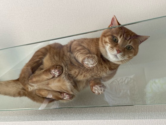 FullSizeRender