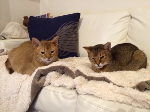 {2B2AB50E-C893-4117-9F44-1C019EFE4937:01}