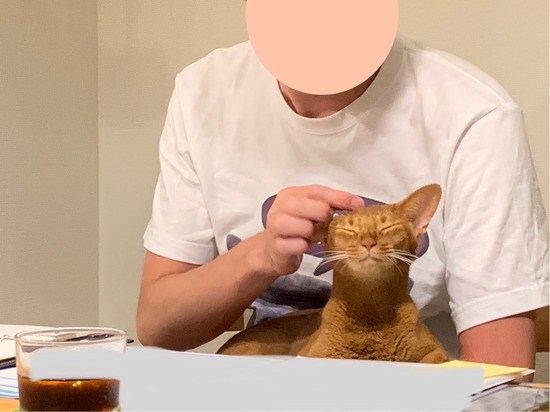 FullSizeRender