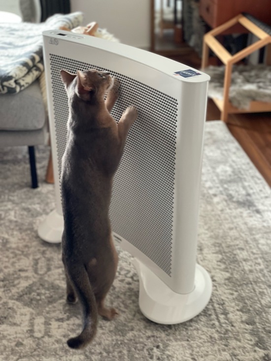 FullSizeRender
