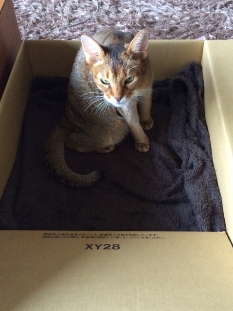 {86314D0C-CB12-4E97-B849-0BAD1FB30390:01}