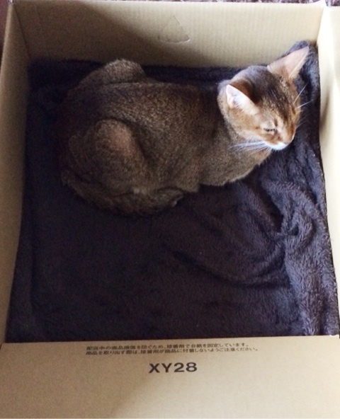 {8B6F1D01-2D04-485D-A677-533939A03079:01}