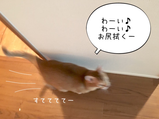 お尻拭きを猛アピールするひなちゃん おうちごはんとおかしとねこ Powered By ライブドアブログ