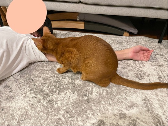 FullSizeRender