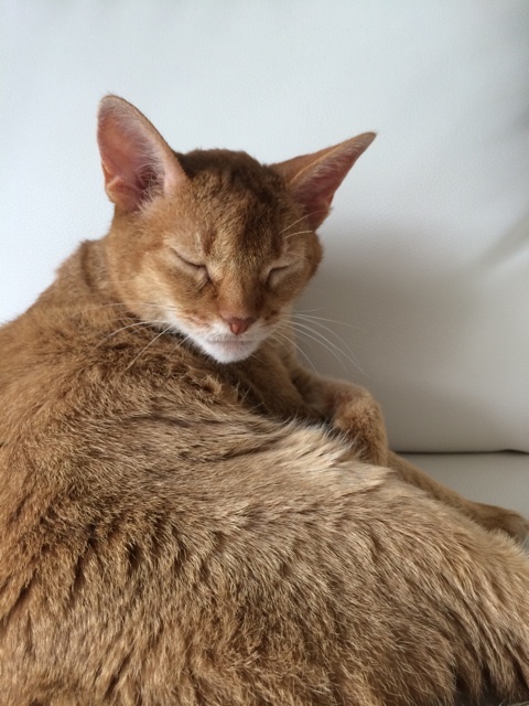 {2D8DFBE3-6FC7-4149-8F43-DE87AEF22D9E:01}