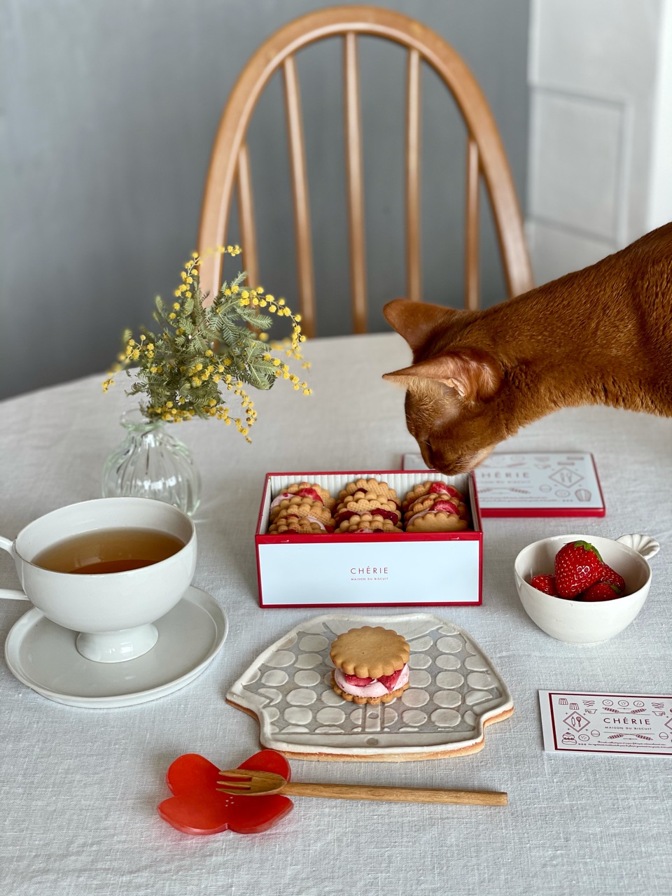 CHÉRIE MAISON DU BISCUIT（シェリーメゾンドビスキュイ）」の