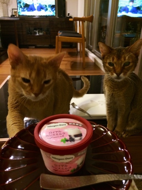 {DEB84AA7-BA88-40A2-971F-515FB2212C3B:01}