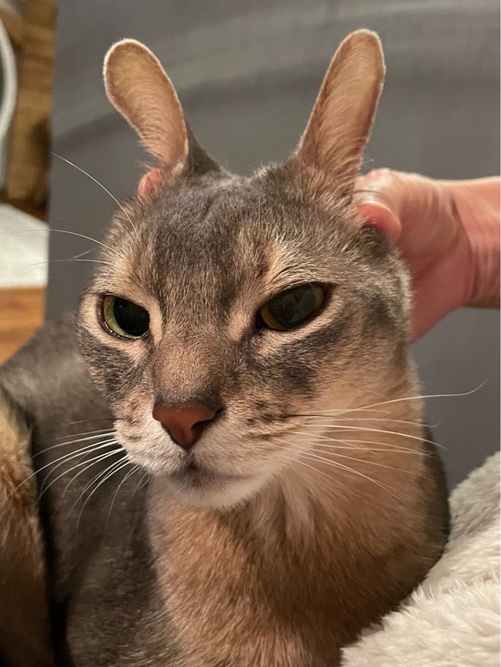 FullSizeRender