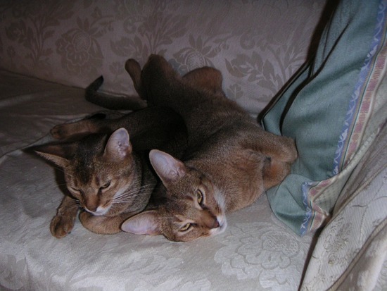 PICT0049