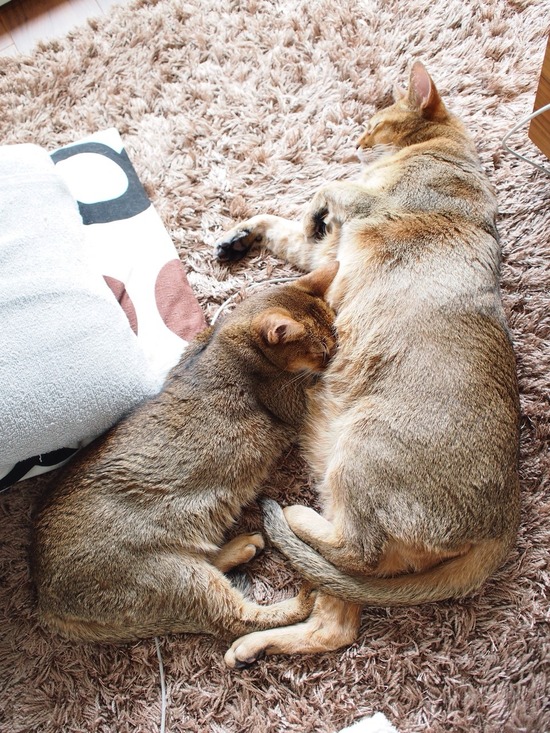 D6A12EBE-1BE1-4706-9C35-7C79478FB417