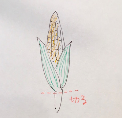 S__3293238