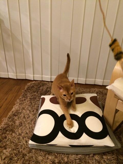 {DAB6BFE2-6C51-408A-A083-D475C2463EE4:01}