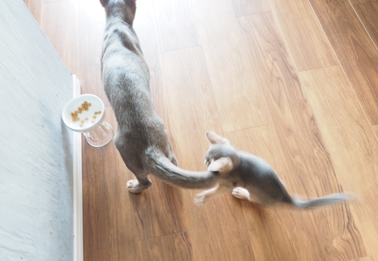PC010991