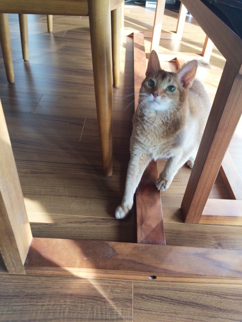 {BFC2D67C-EF85-400E-AE64-A7A8CAB097CD:01}