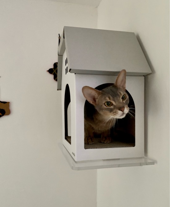 FullSizeRender