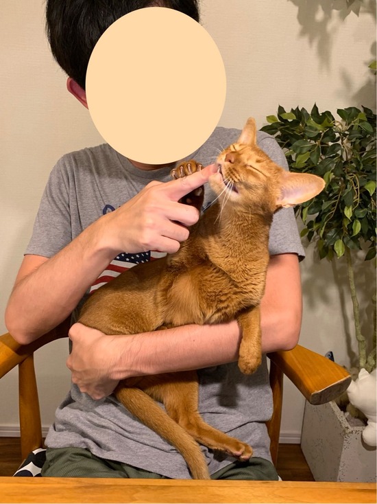 FullSizeRender
