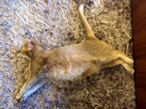 {14AFE6BC-E474-4377-B5C7-1554F6AC3134:01}