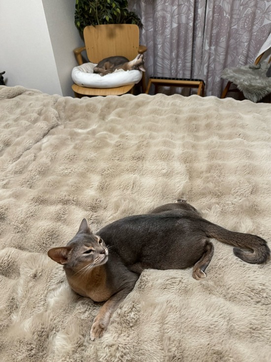 FullSizeRender