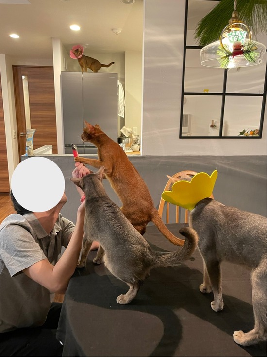 FullSizeRender