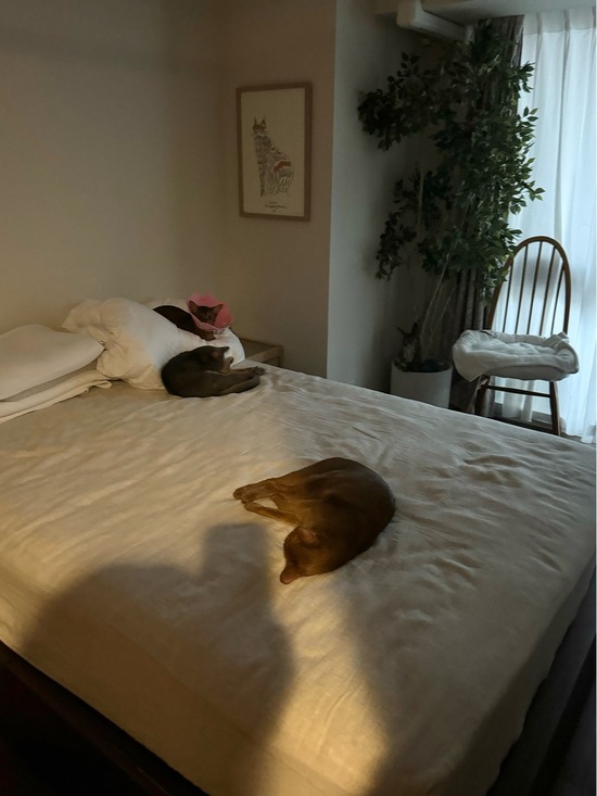 FullSizeRender