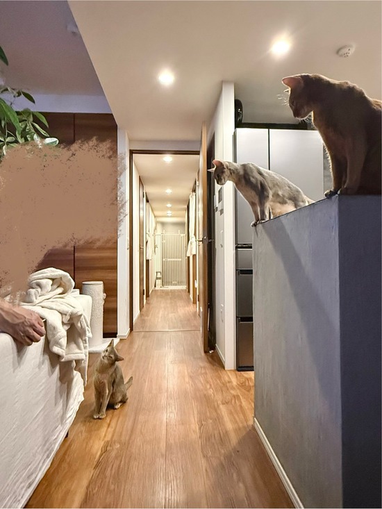 FullSizeRender