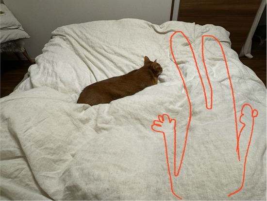 FullSizeRender