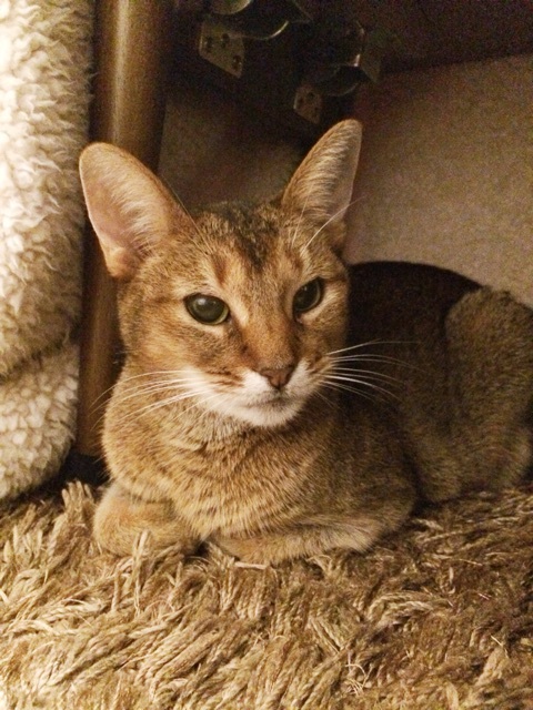 {CEF8C9FB-7187-47FB-85E5-13A9D67C9A4B:01}