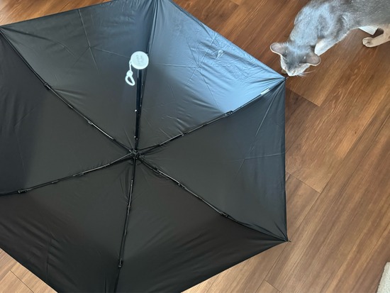 FullSizeRender