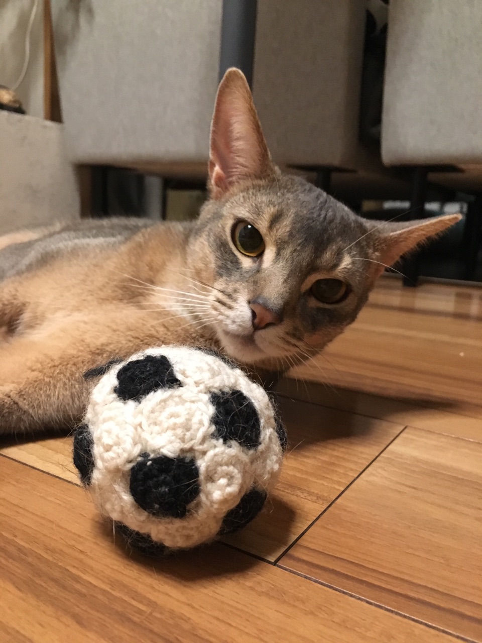 猫のサッカー応援団 おうちごはんとおかしとねこ Powered By ライブドアブログ