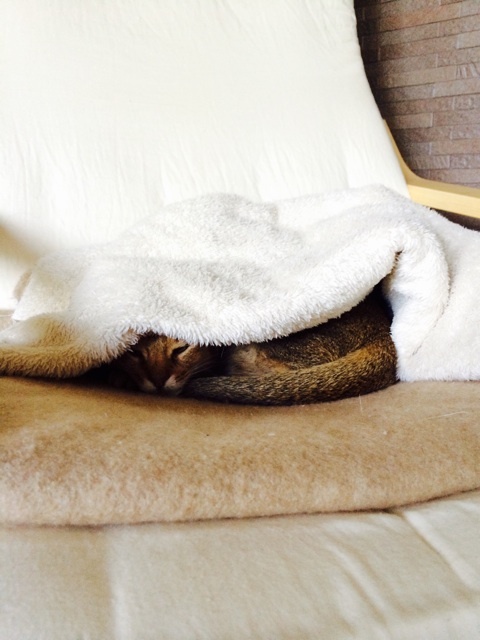 {02BDDF13-C41F-444D-8240-B02D78B29EC5:01}