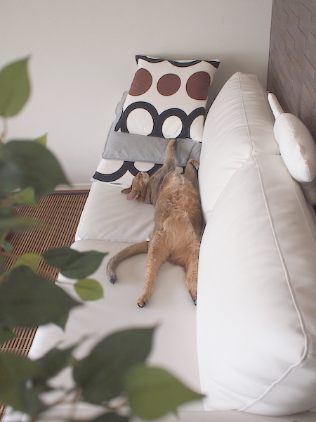 P8298719 のコピー