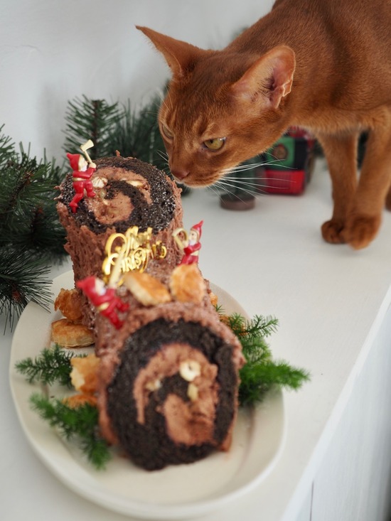 FullSizeRender