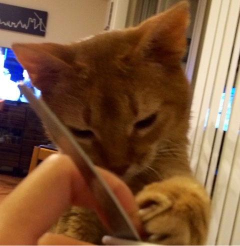 {25E30F4E-AF2E-4F01-9C49-EEB567214BA8:01}