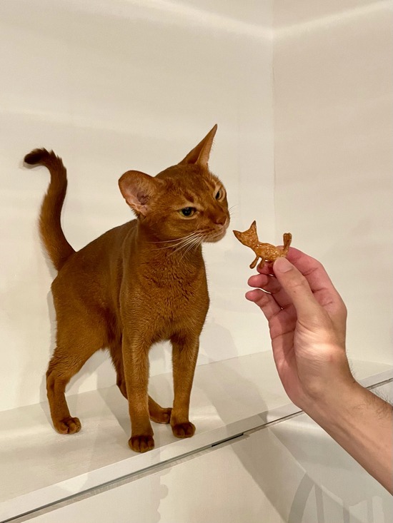 FullSizeRender