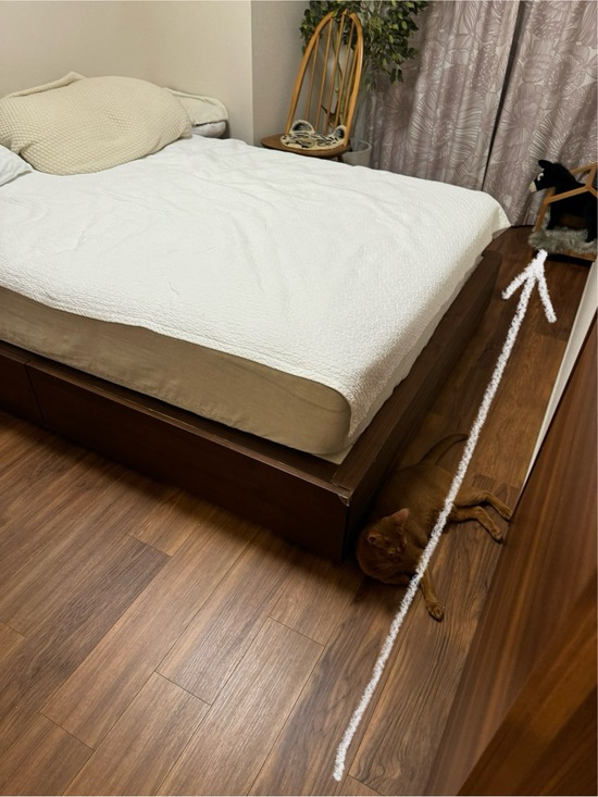 FullSizeRender