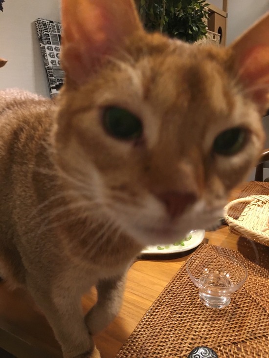 FD7C3C58-62C0-45BA-9CAB-2F8B70FA54D4