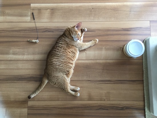 4D8D54F4-BB51-47EB-9DF0-4362B3A16EF4