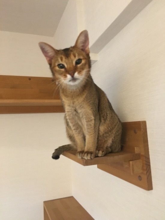 4D4408BB-3CB5-46DE-8A2D-D405E7B1B849