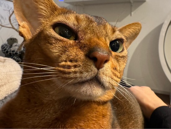 FullSizeRender