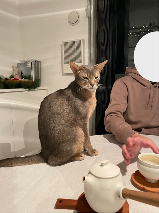 FullSizeRender