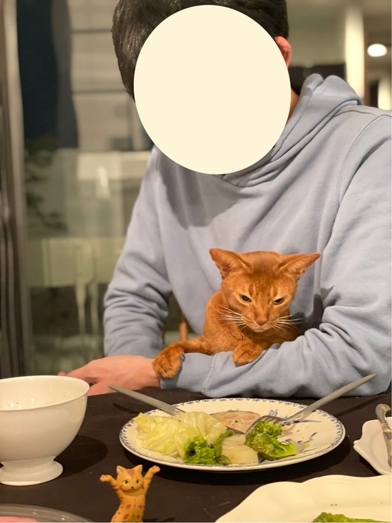 FullSizeRender